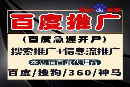 百度竞价运营策略：成功案例解析